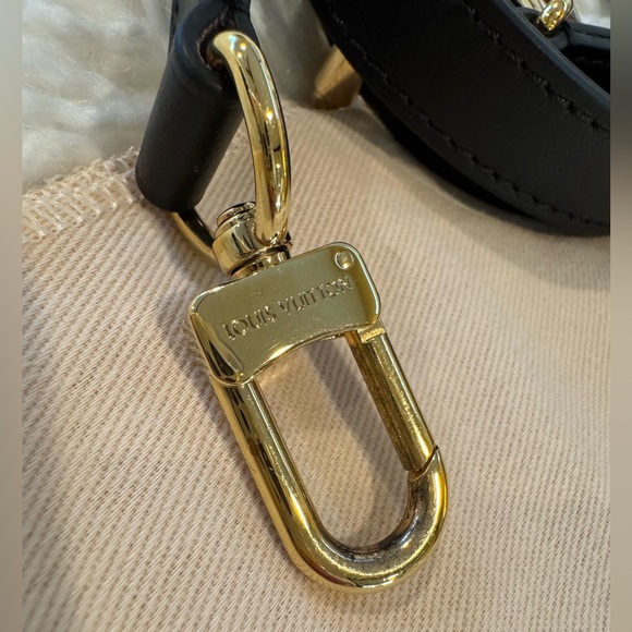 Louis Vuitton RARE Monogram Giant Wild At Heart Pochette Metis Arizona - Picture 10 of 12